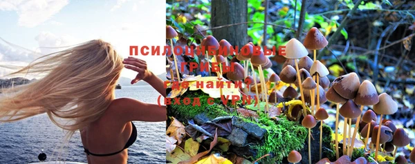 молекула духа Алзамай