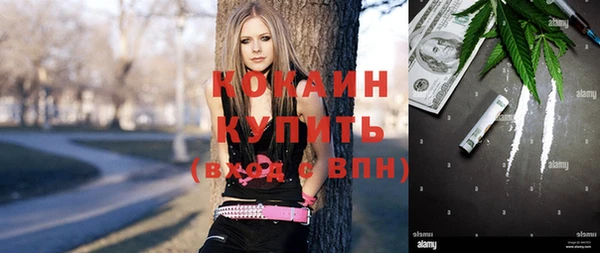 молекула духа Алзамай