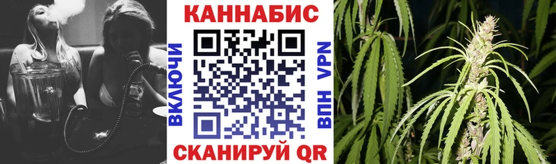 Канабис планчик  наркота  Карасук 